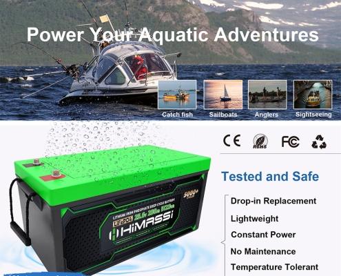 Himax Lithium Ion 24V Batery