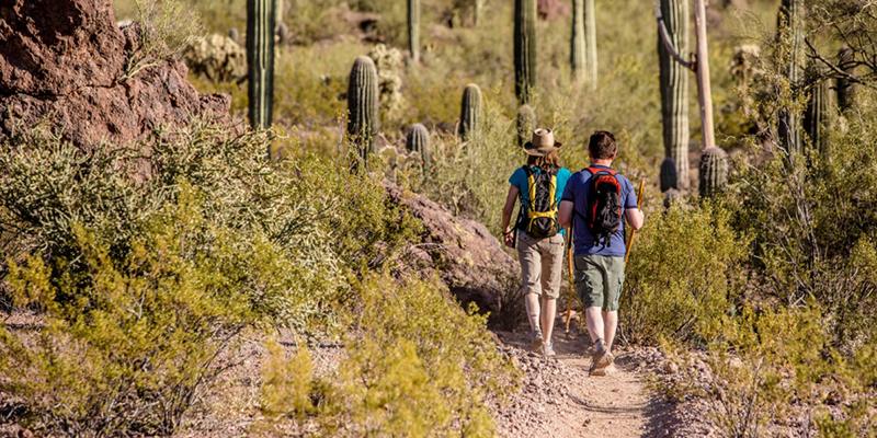 Himax - Camping-Trips