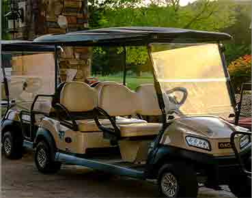 Golf Carts